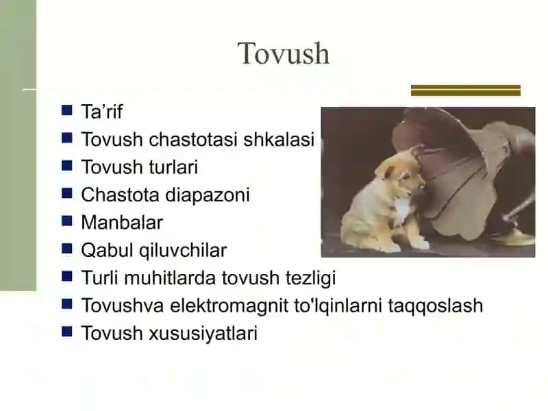 Tovush akustikasi 2
