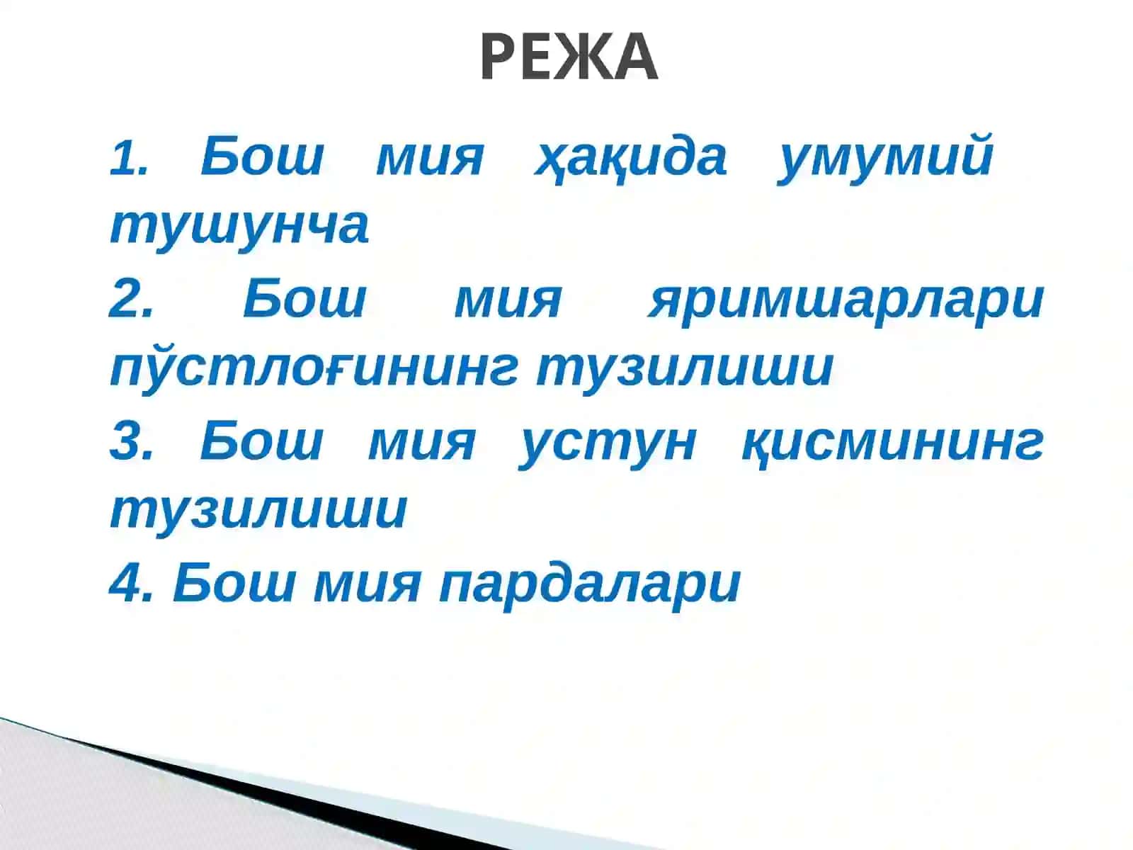 Бош мия тузилиши 2
