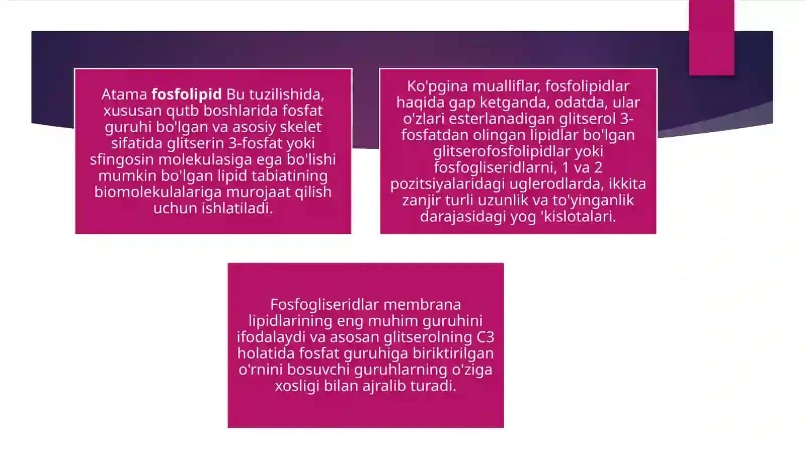 Fosfolipidlar: xususiyatlari, tuzilishi, funktsiyalari, turlari 2