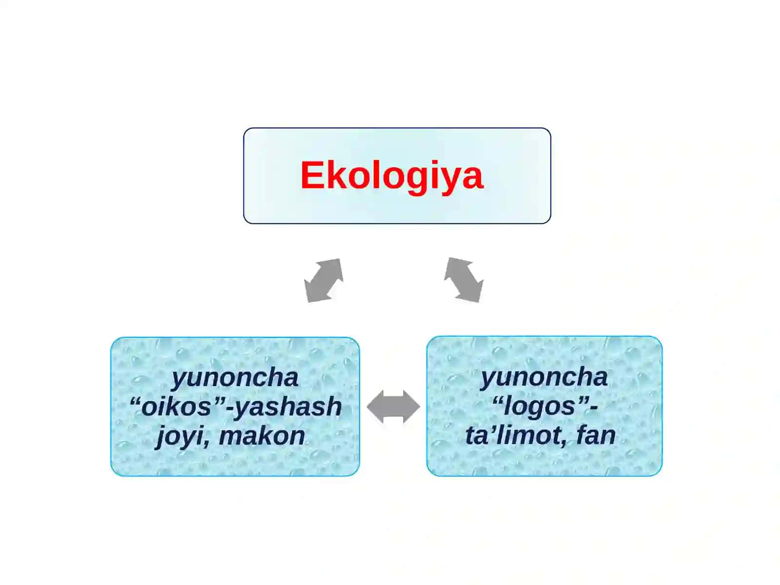 Ekologiya va tabiatni muhofaza qilish 2
