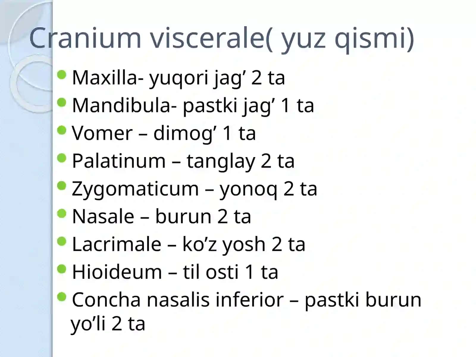 Kallasuyaklarining umumiy anatomiyasi (yuz qism suyaklari) 2