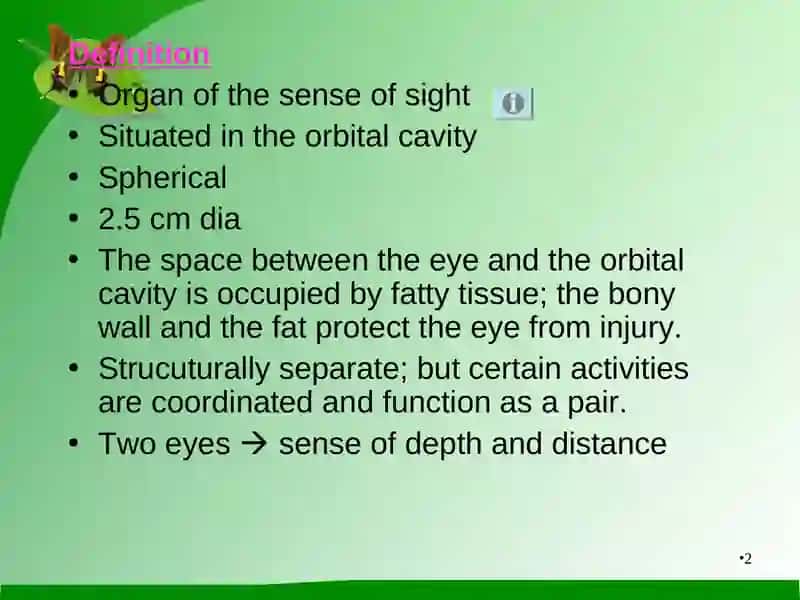 The Eye 2