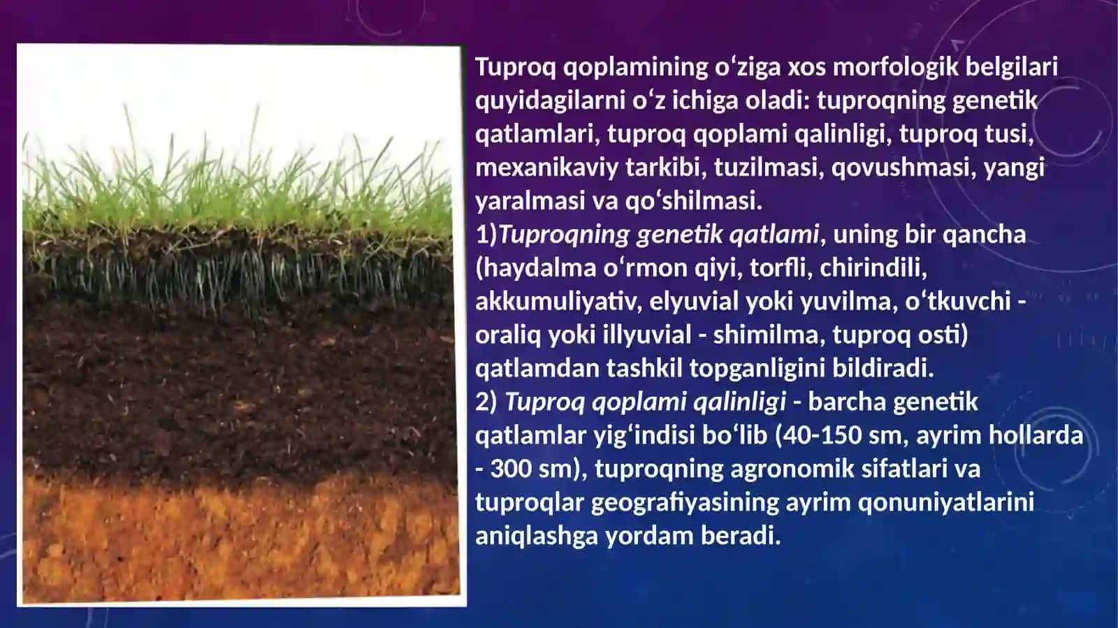 TUPROQ MORFOLOGIK BELGILARNING AGRONOMIK XUSUSIYATLARI. 2