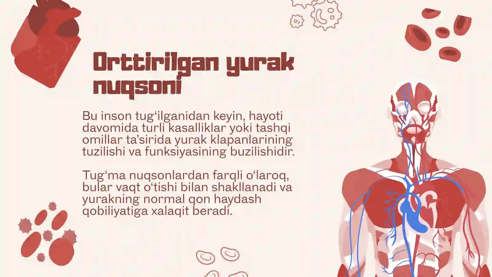 Orttirilgan yurak nuqsonlari 2