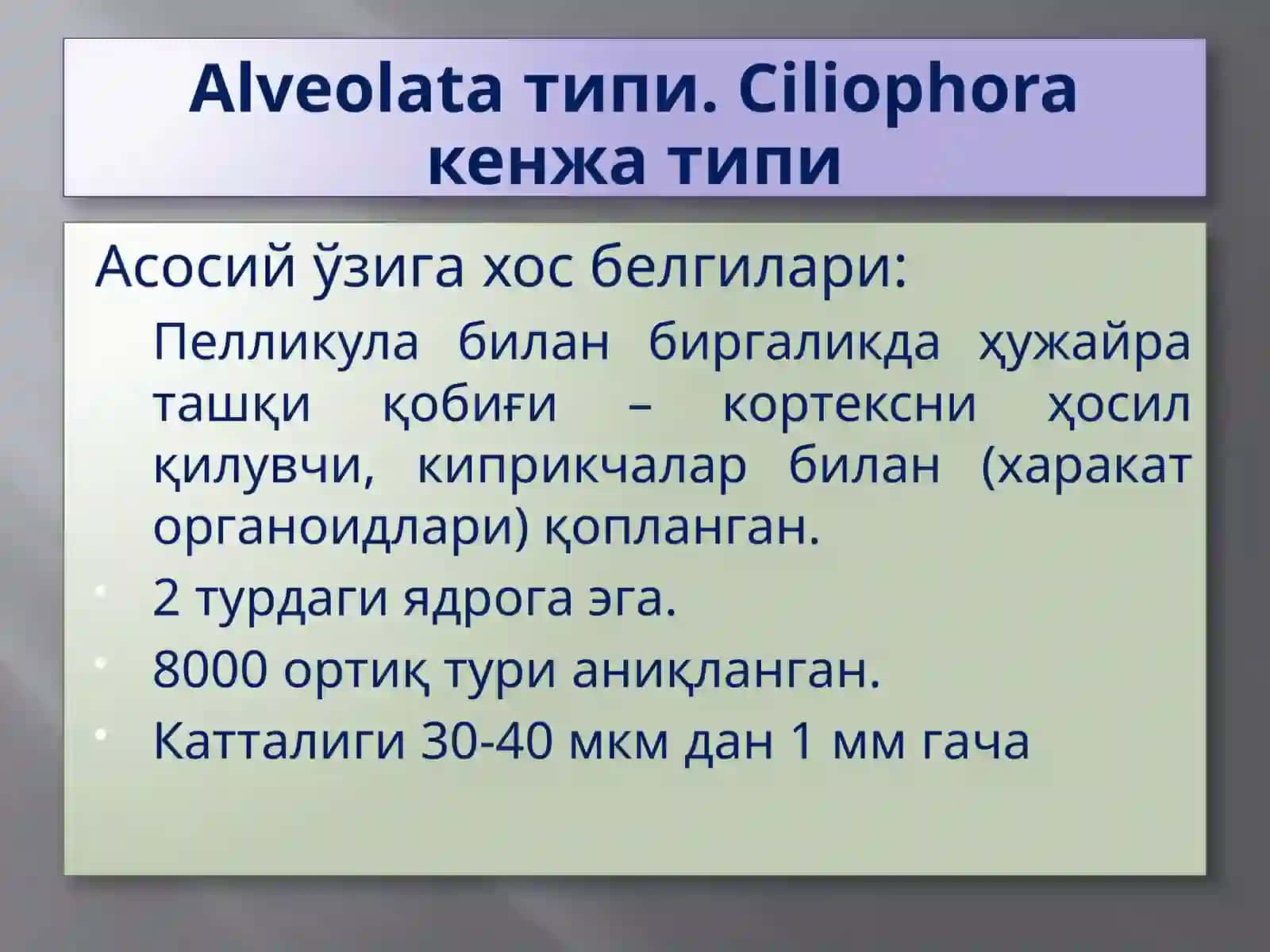 Protozoa кенжа дунёси (Бир ҳужайралилар) 2