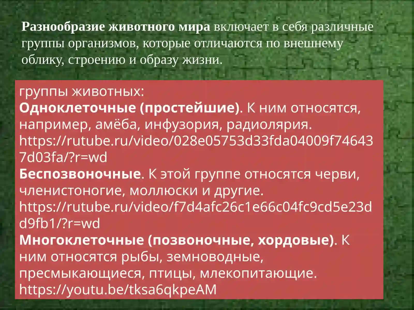 Разнообразие животного мира и его роль в природе. Красная книга 2