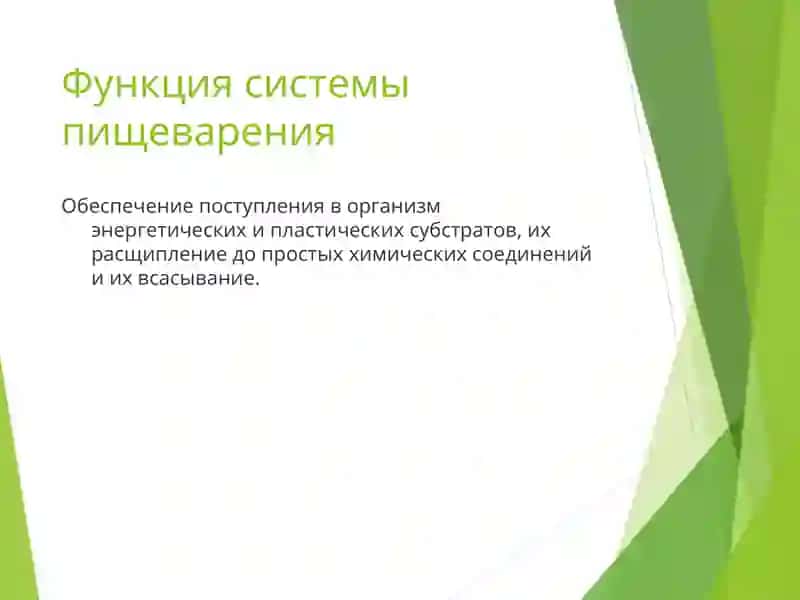 Патофизиология системы пищеварения 2