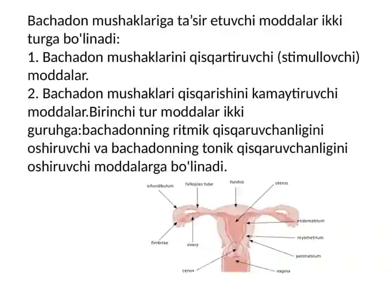 Farmakologiya Bachadon mushaklariga taʼsir koʻrsatuvchi moddalar 2