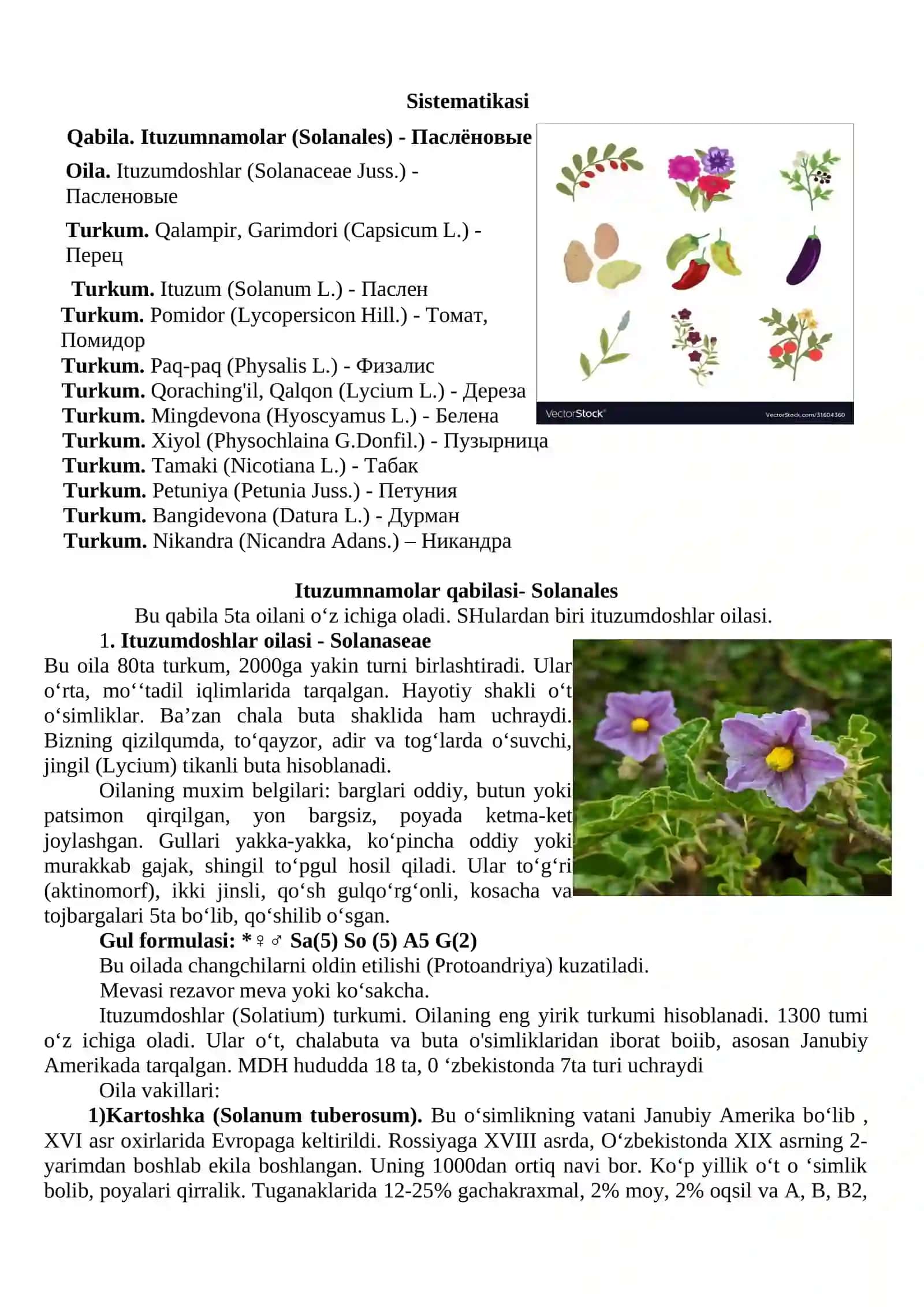 Pechakdoshlar (Convolvulaceae) va Ituzumdoshlar (Solanaceae) oilasi turkumi turlari nomenklaturasini tahlili va o‘rganish qoidalari 2