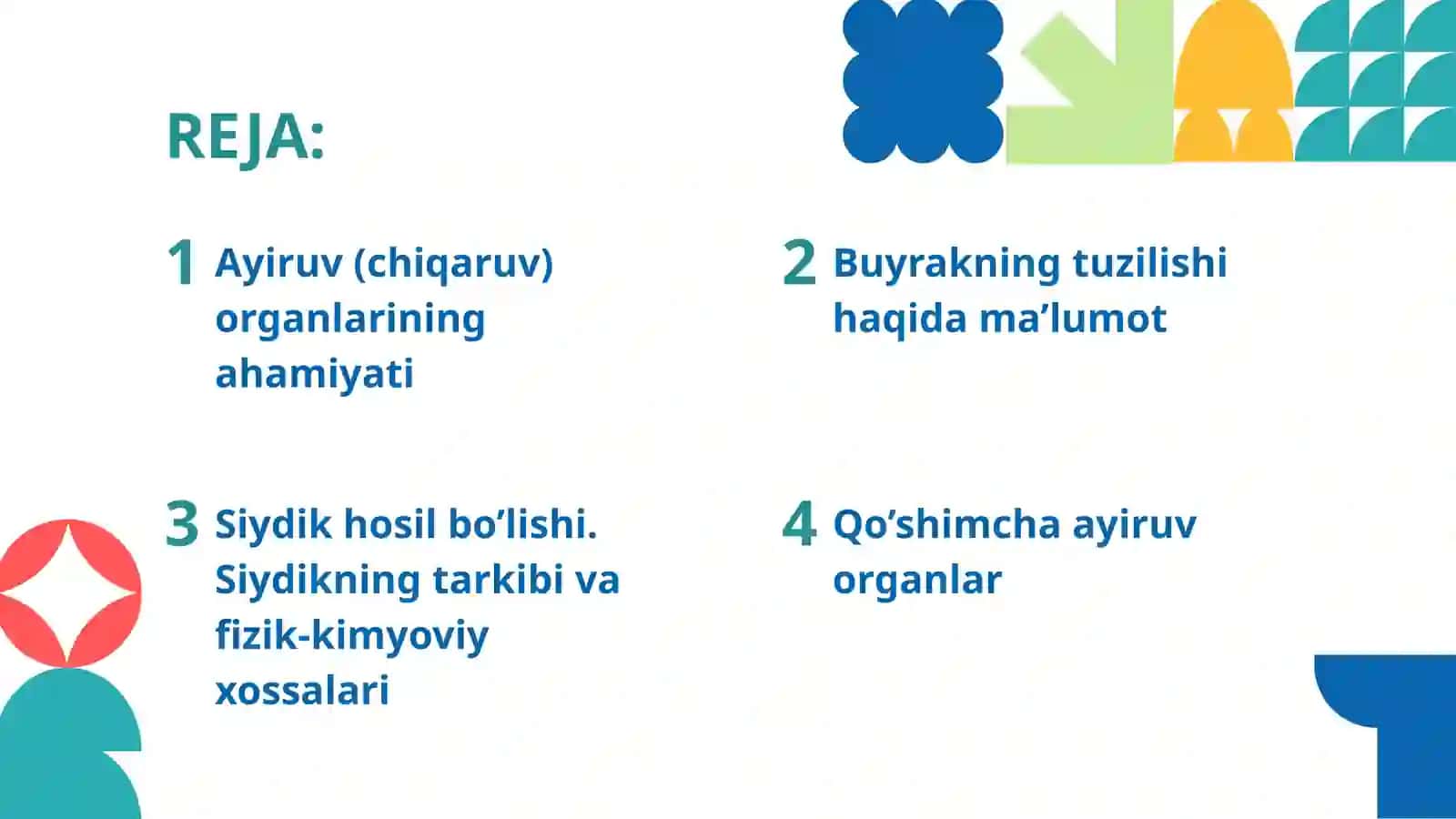 Ayiruv tizimi fiziologiyasi 2