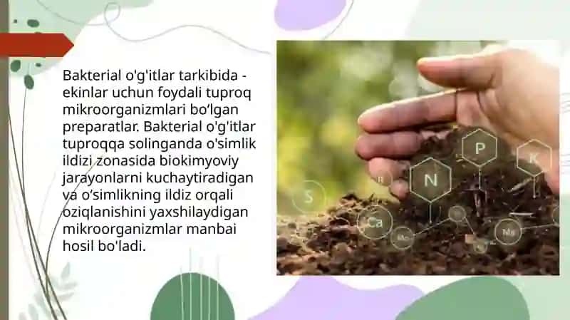 Bakteriologik o‘g‘itlar va ularning qo‘llanilishi 2