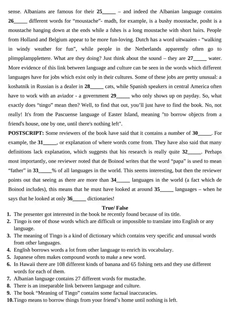 The Meaning Of Tingo 2
