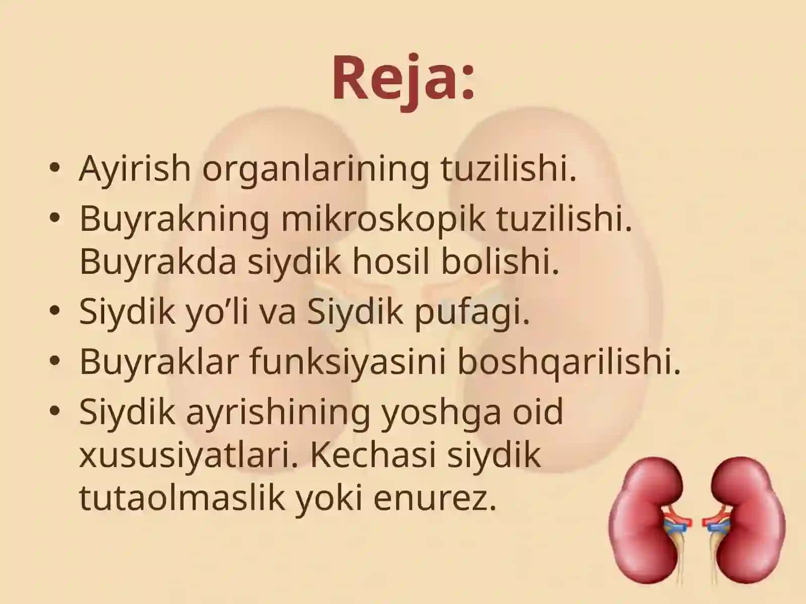 Ayirish organlarining tuzilishi va yoshga xos xususiyatlari 2