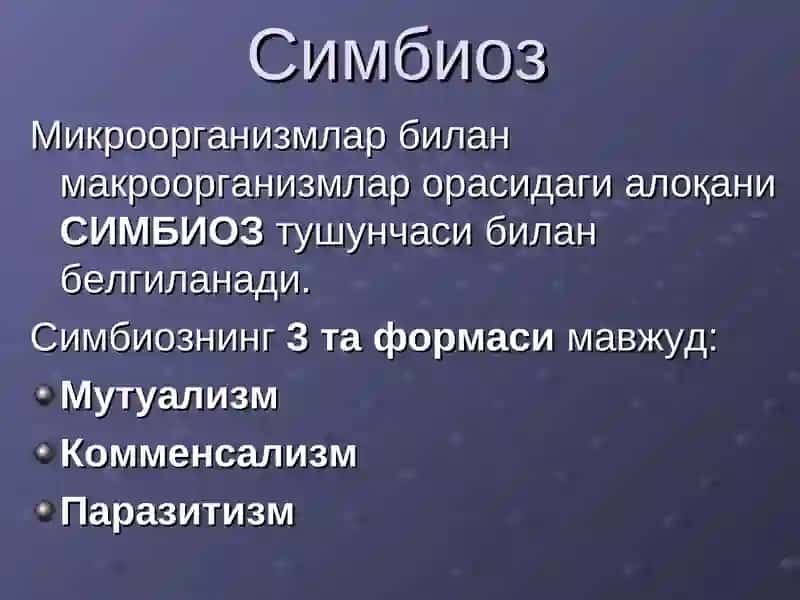 Инфекция хақида тушунча. Юқумли касалликларнинг микробиологик диагностика 2