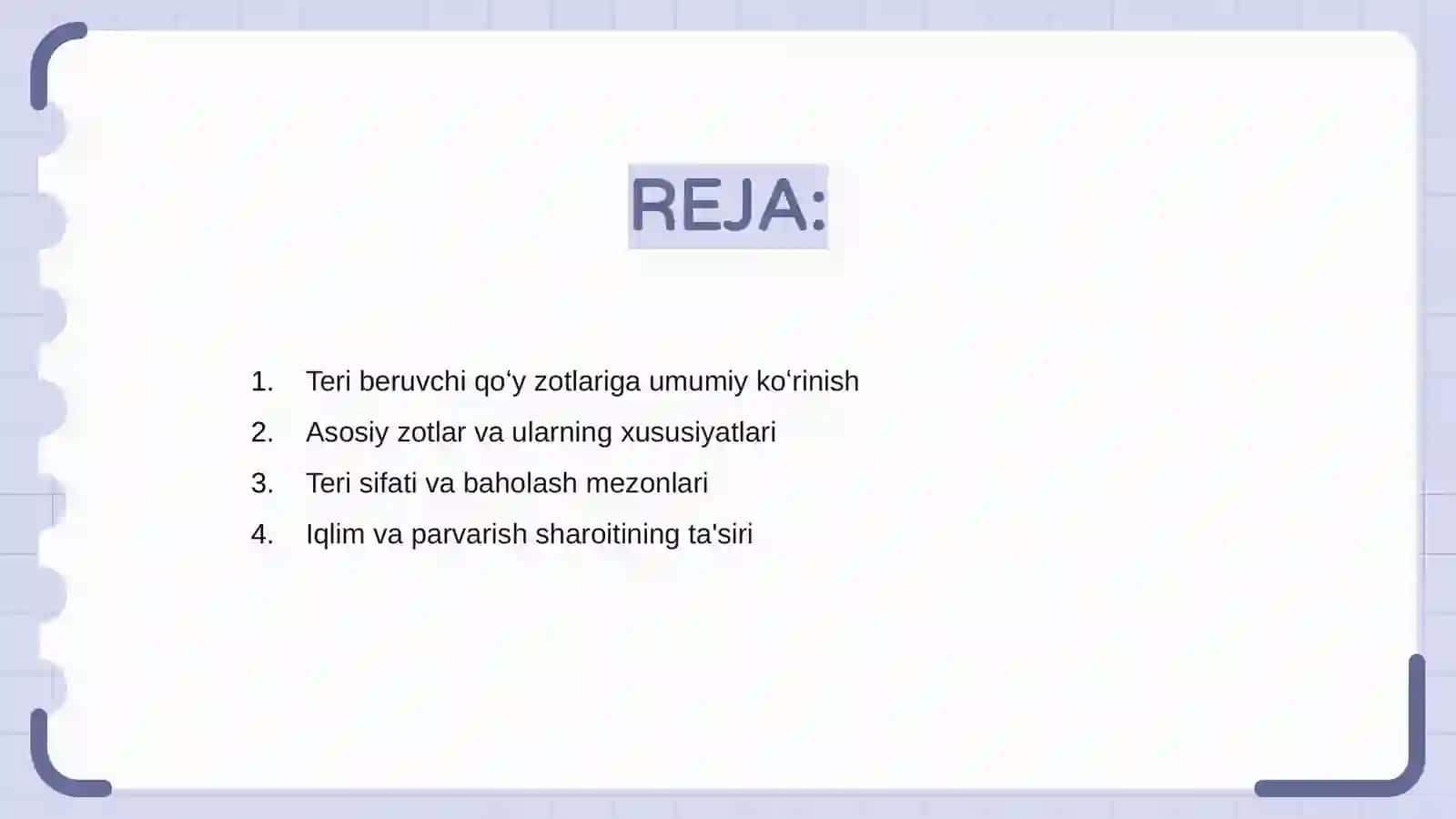 Teri beruvchi qoʻy zotlarini tavsifi 2