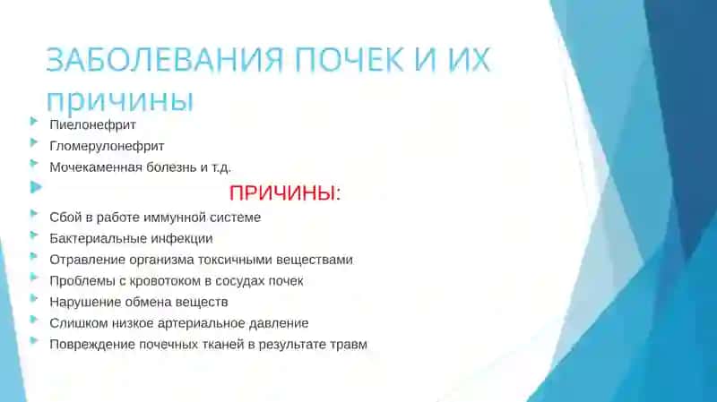 Лабораторная диагностика заболеваний печени и почек 2