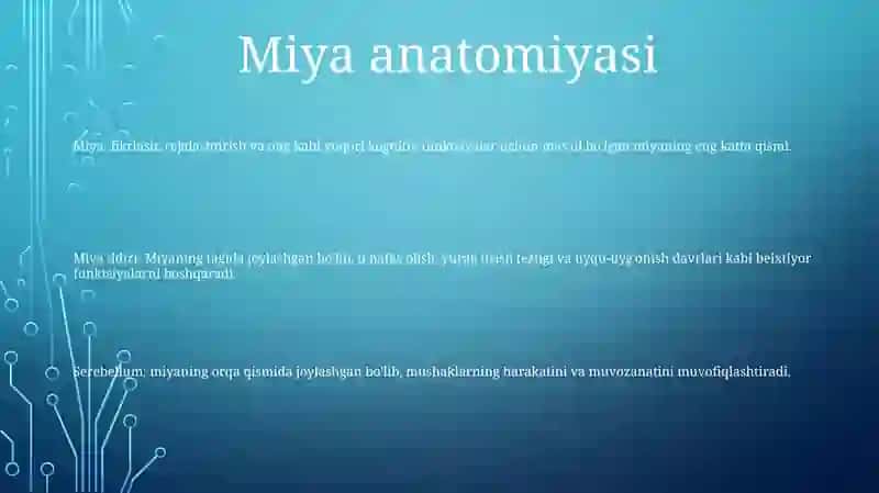 Miya (Brain) 2