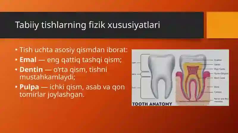 Stomatologik materiallarning fizik-mexanik xossalari va tish zichligini aniqlash 2