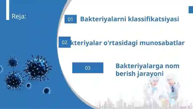 Bakteriyalarni klassifikatsiyasi, toksonomiyasi va nomenklaturasi 2
