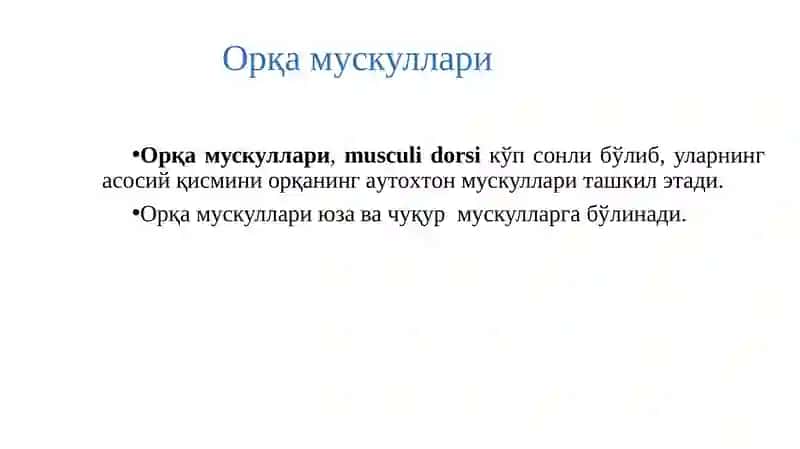 Миология 2