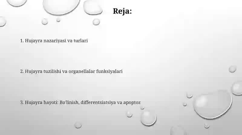 Hujayraning tuzilishi va uning vazifalari 2