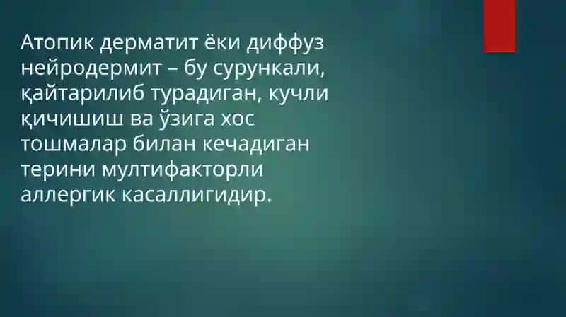 Atopikdermatitlar 2