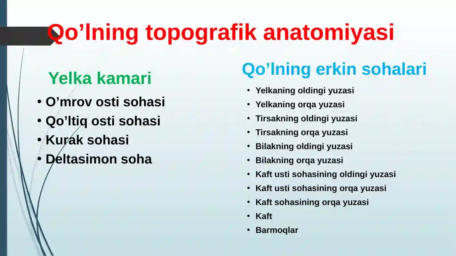 Qo'l va oyoqning tapagrafik anatomiyasi 2