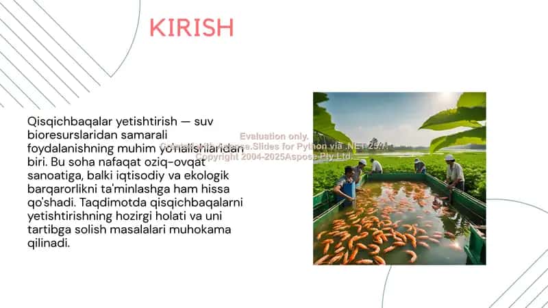 Qisqichbaqalar va ularning yetishtirish metodlari 2