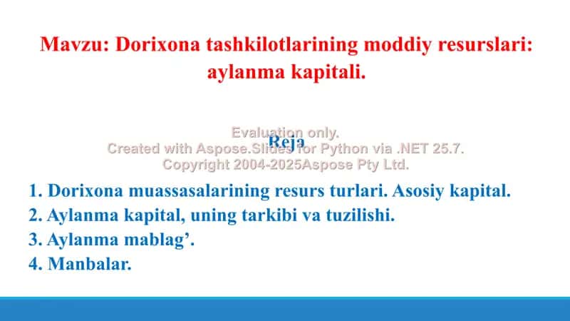 Dorixona tashkilotlarining moddiy resurslari, aylanma kapitali. Taqdimot 13 bet. 2