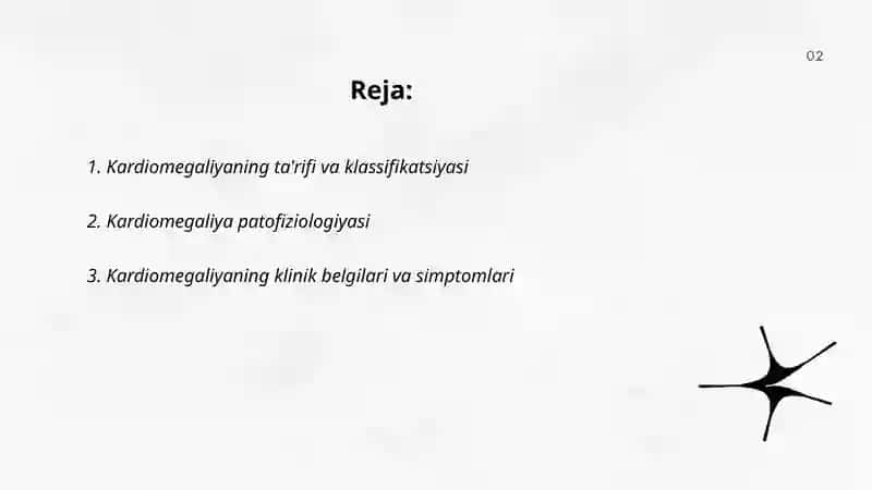 Kardiomegaliya 2