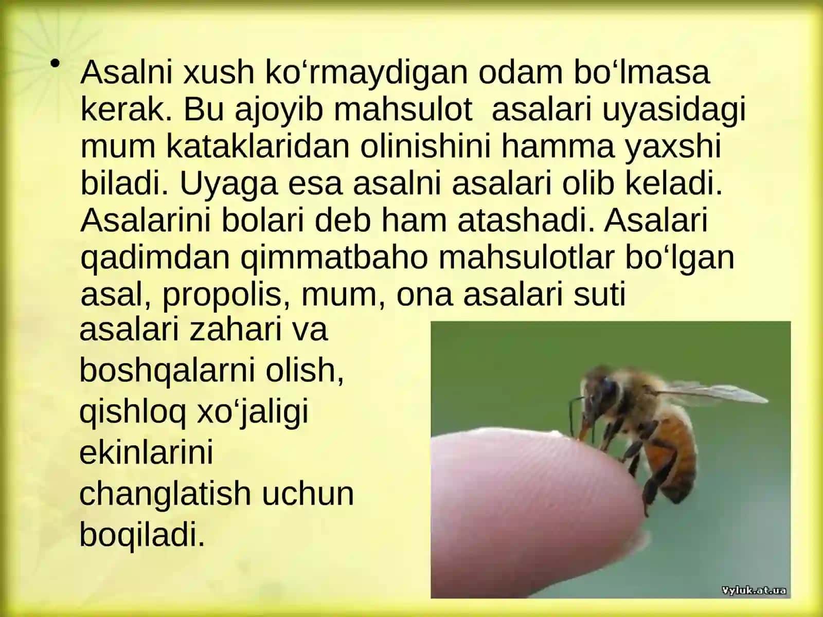 Asalari 2
