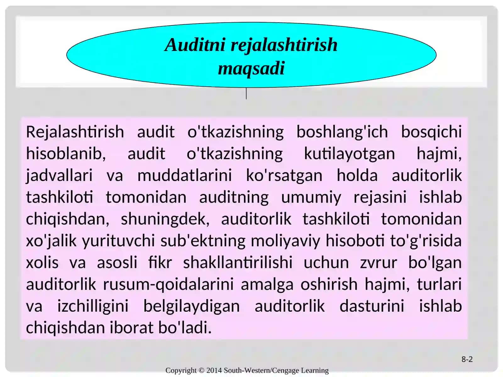 Auditorlik tekshiruvini rejalashtirish 2