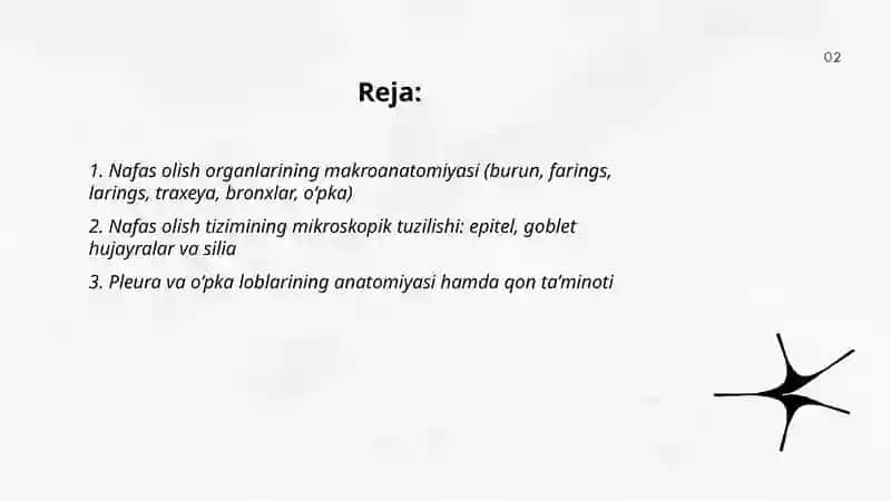 Nafas olish a'zolarining anatomofiziologik xususiyatlari 2