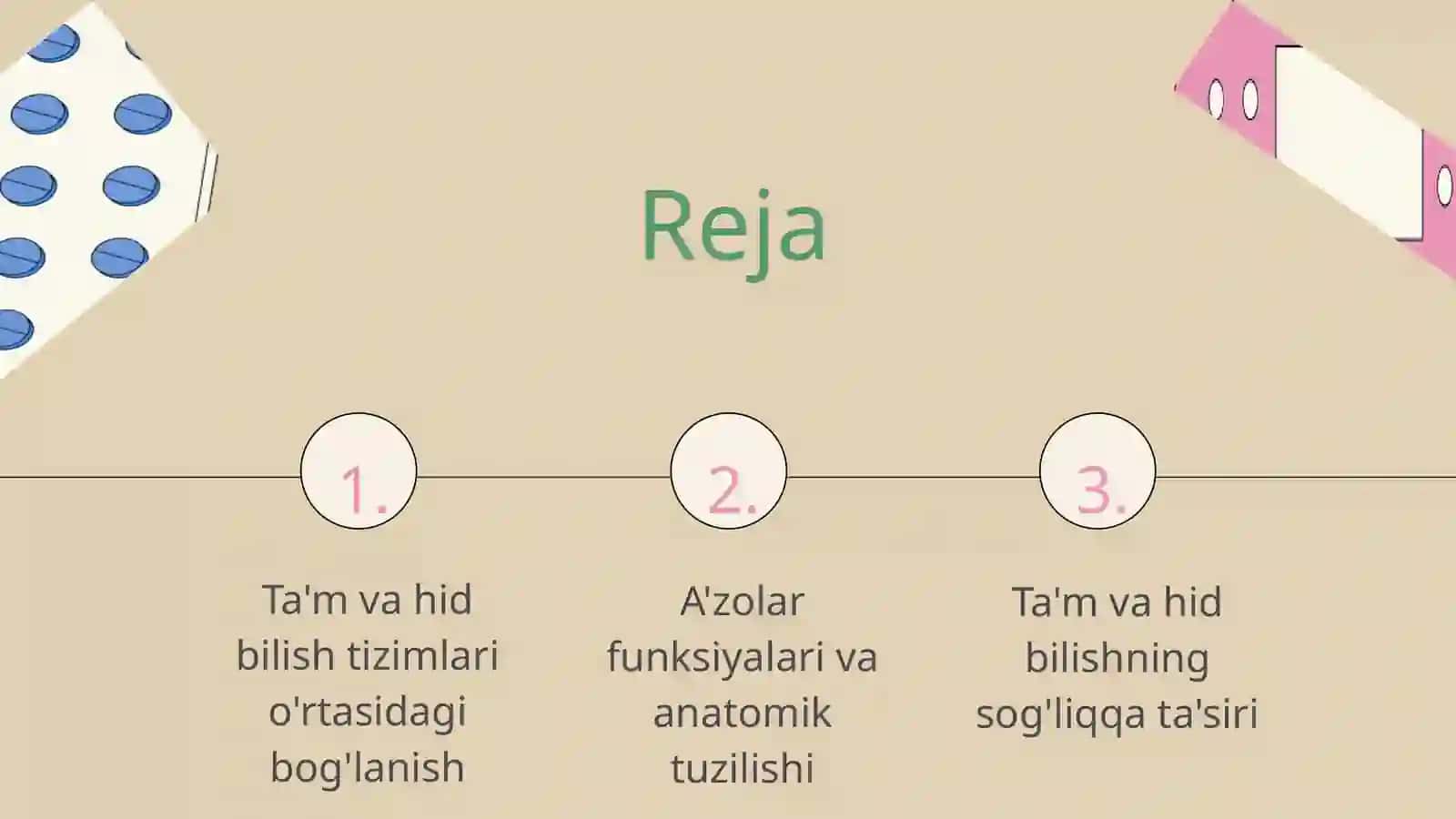 Ta'm bilish va hid bilish a'zolarining funksional anatomiyasi 2