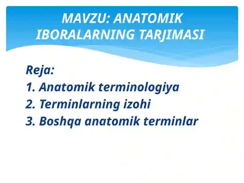 ANATOMIK IBORALARNING TARJIMASI 2