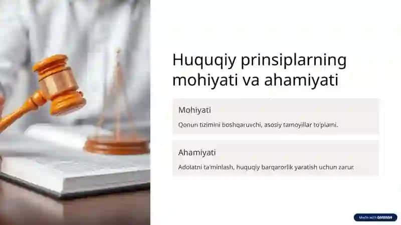 Huquqiy prinsiplar tushunchasi, turlari va oʻzaro farqlari 2