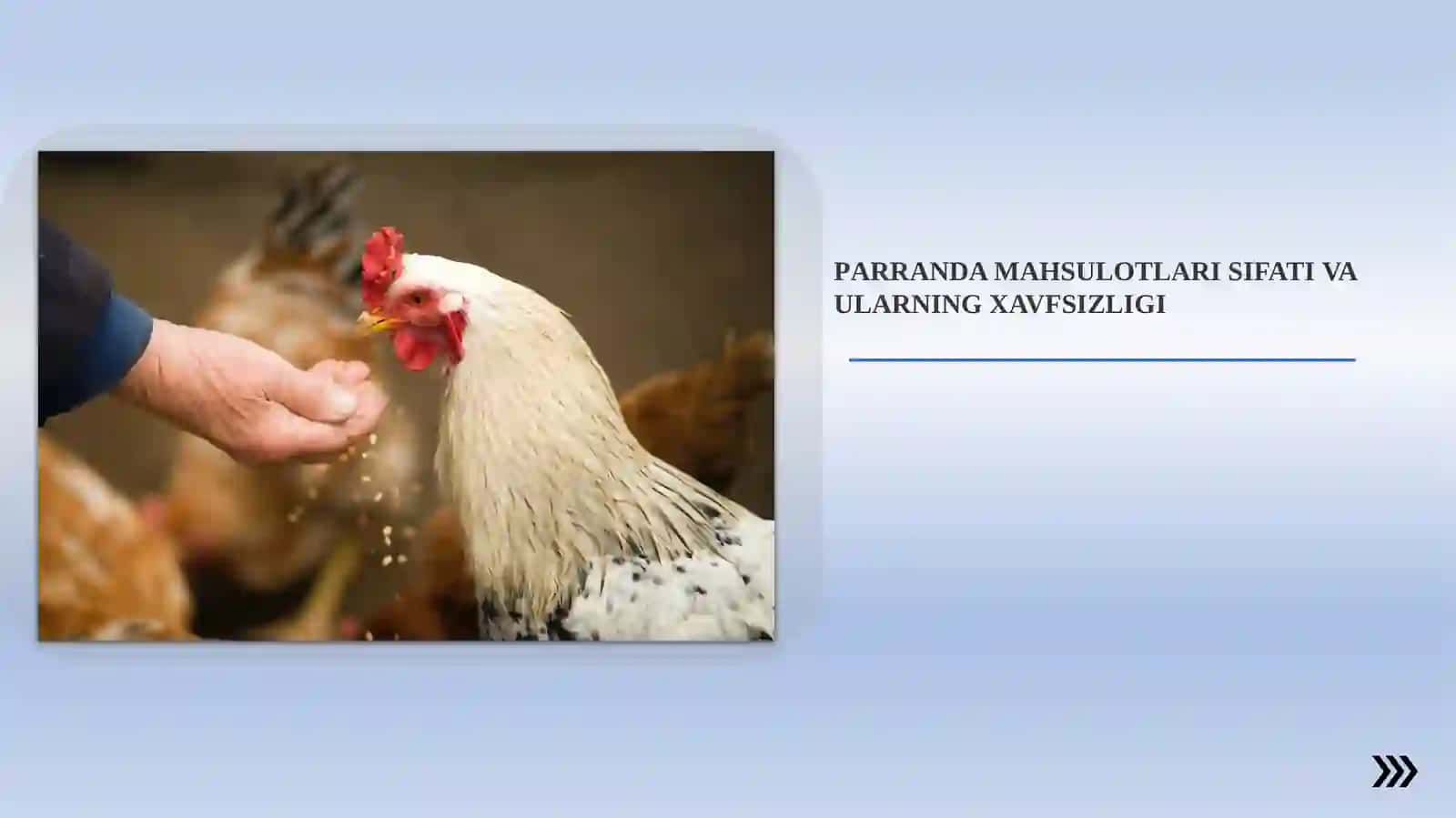 PARRANDA MAHSULOTLARI SIFATI VA ULARNING XAVFSIZLIGI 2