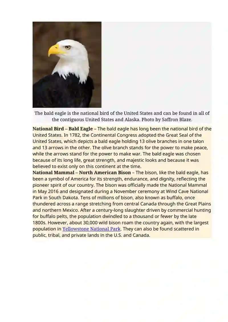 Pledge of Allegiance 2