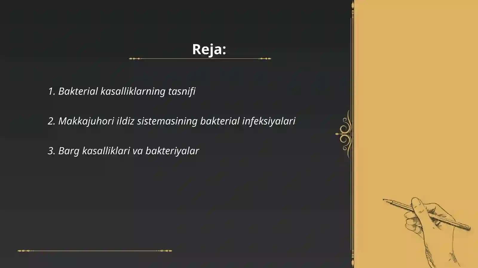 Makkajuhorining bakterial kasalliklari va ularga qarshi kurashi kurash choralari 2