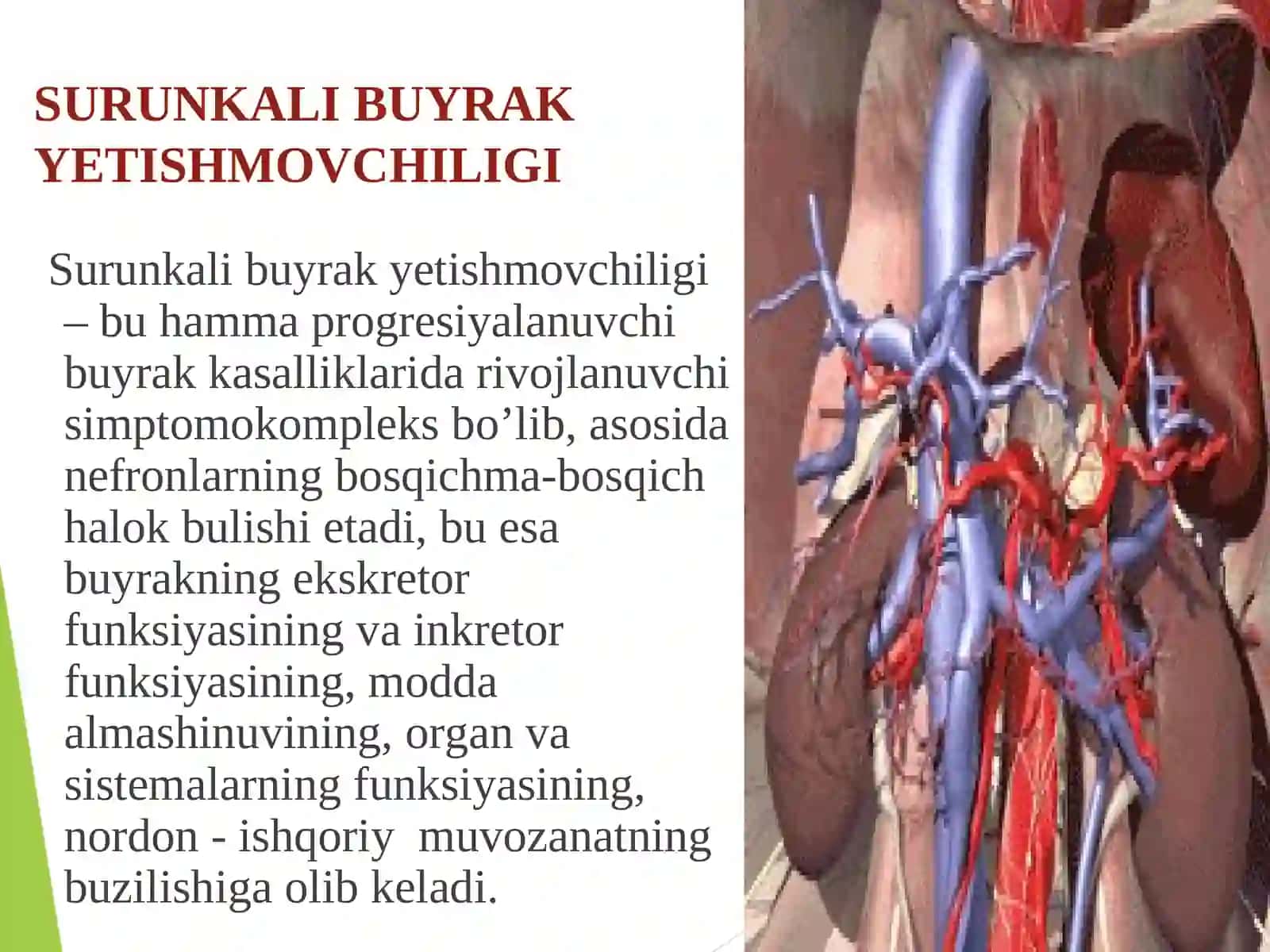 SURUNKALI BUYRAK YETISHMOVCHILIGI 2