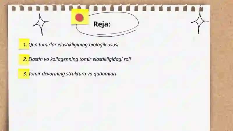 Qon tomirlar elastikligi va unga taʼsir qiluvchi omillar 2