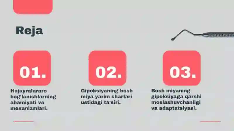 Bosh miya yarim sharlari po'stlog'i da hujayralararo bog' lanishlar.Bosh miya yarim sharlari po'stlog'ining gipoksiyaga reaktsiyasi 2