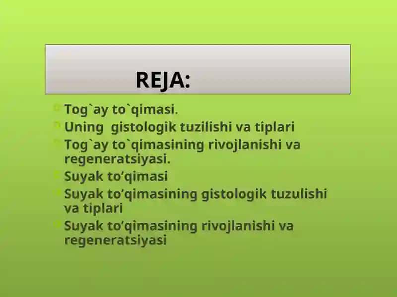 Tog’ay va suyak to’qimasi 2