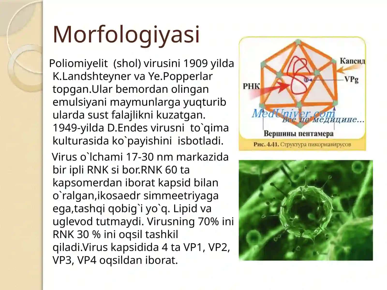 POLIOMIYELIT VIRUSI 2