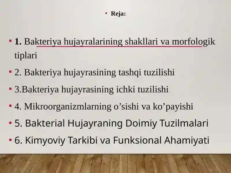 Bakteriya hujayrasining tuzilishi 2