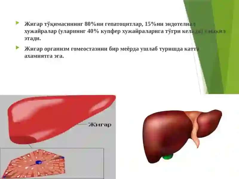O"tkir jigar yetishmovchiligi 2