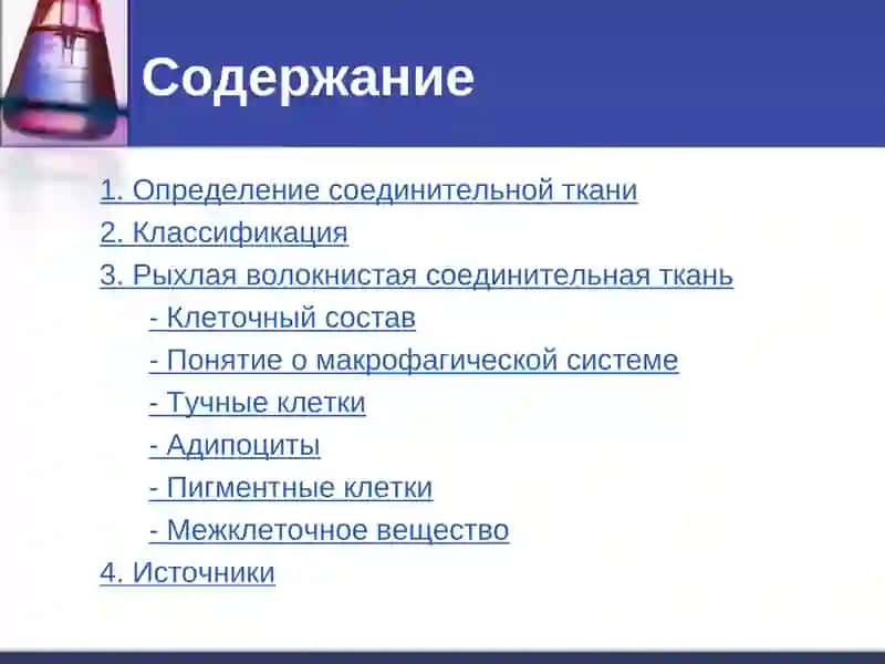 РЫХЛАЯ ВОЛОКНИСТАЯ СОЕДИНИТЕЛЬНАЯ ТКАНЬ 2