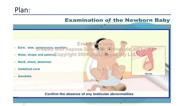 Yangi tug'ilgan chaqaloqlarni fizikal tekshiruv (Physical examination in newborns) 2