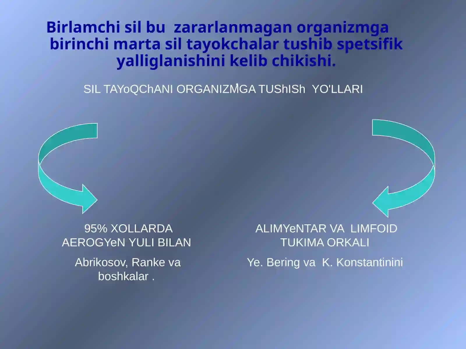 Birlamchi sil 2