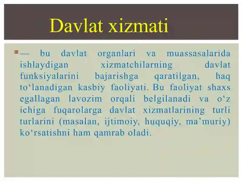 Davlat xizmati tushunchasi va elektron hukumat 2